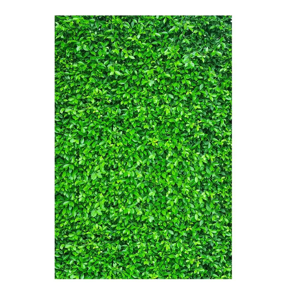 Panel Lateral - Muro Inglés