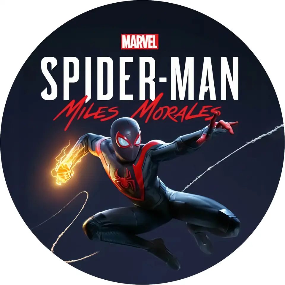 Panel Circular - Spider Man