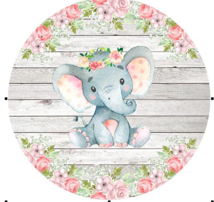 Panel Circular - Elefante