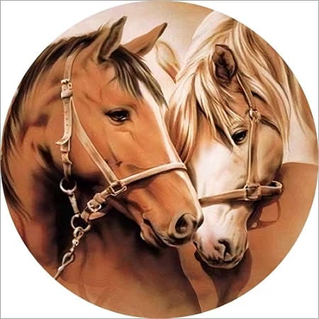 Panel Circular - Caballos