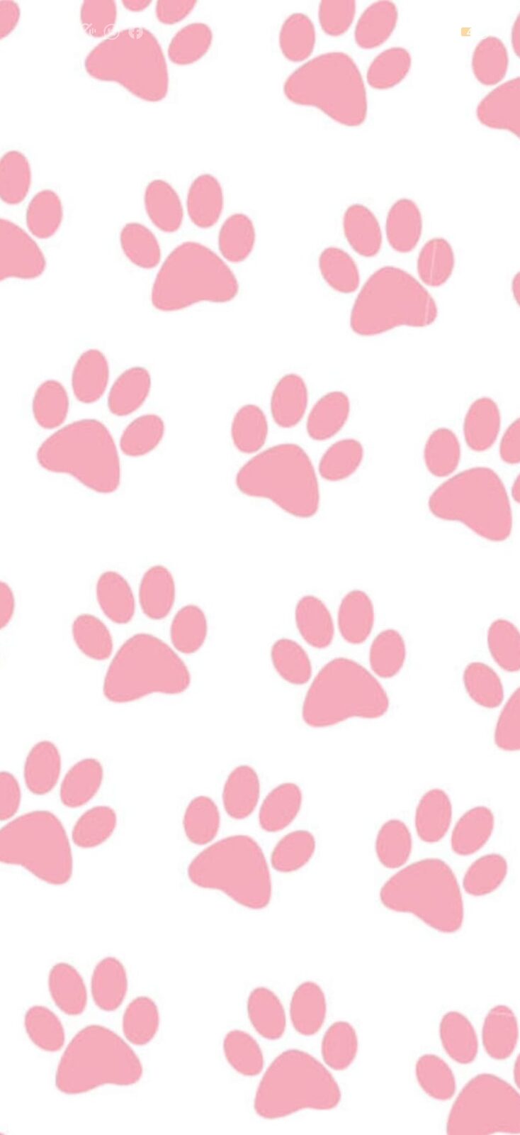 Panel Lateral - Paw Patrol
