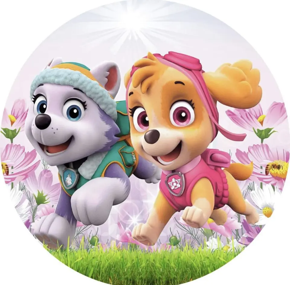 Panel Circular - Skey & Everest Paw Patrol