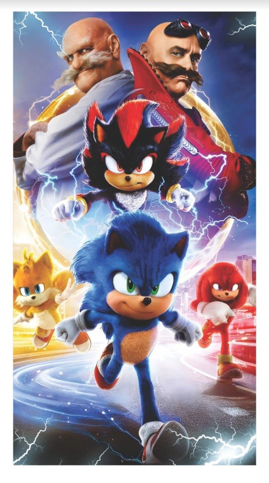 Panel Lateral - Sonic 3