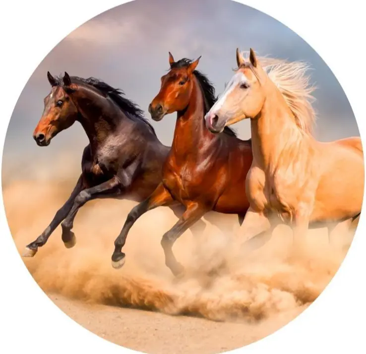 Panel Circular - Caballos