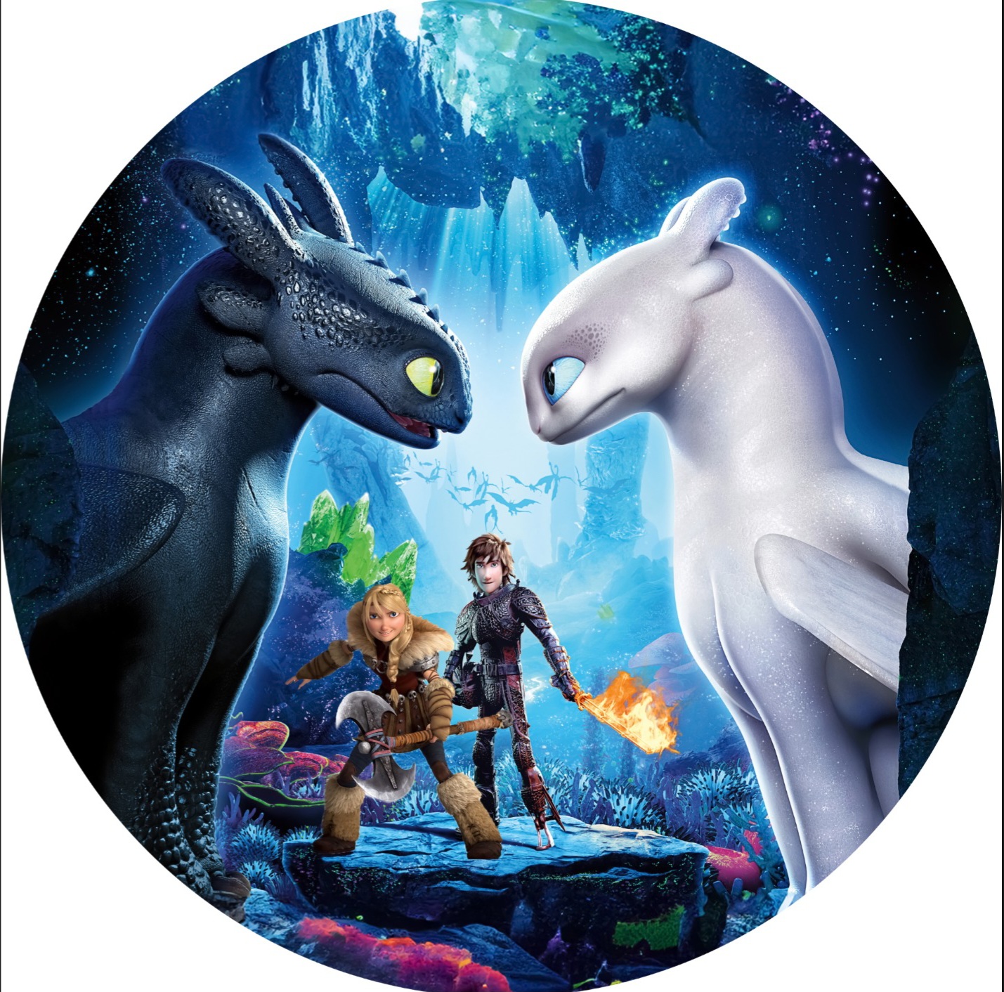Panel Circular - Entrenando a mi Dragon