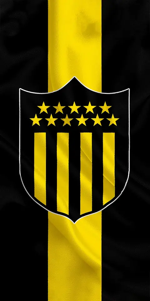 Panel Lateral - Peñarol