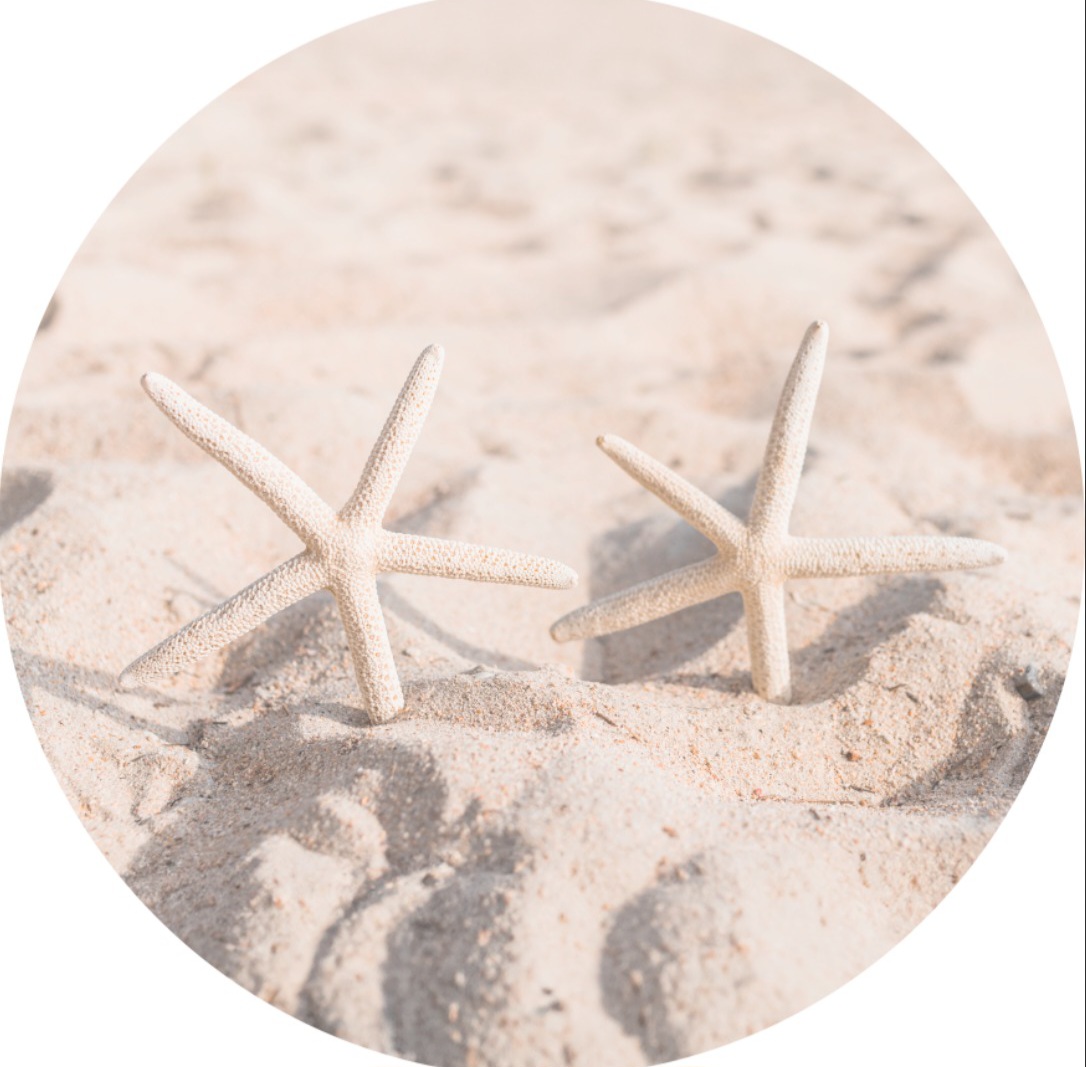Panel Circular - Fondo de Mar