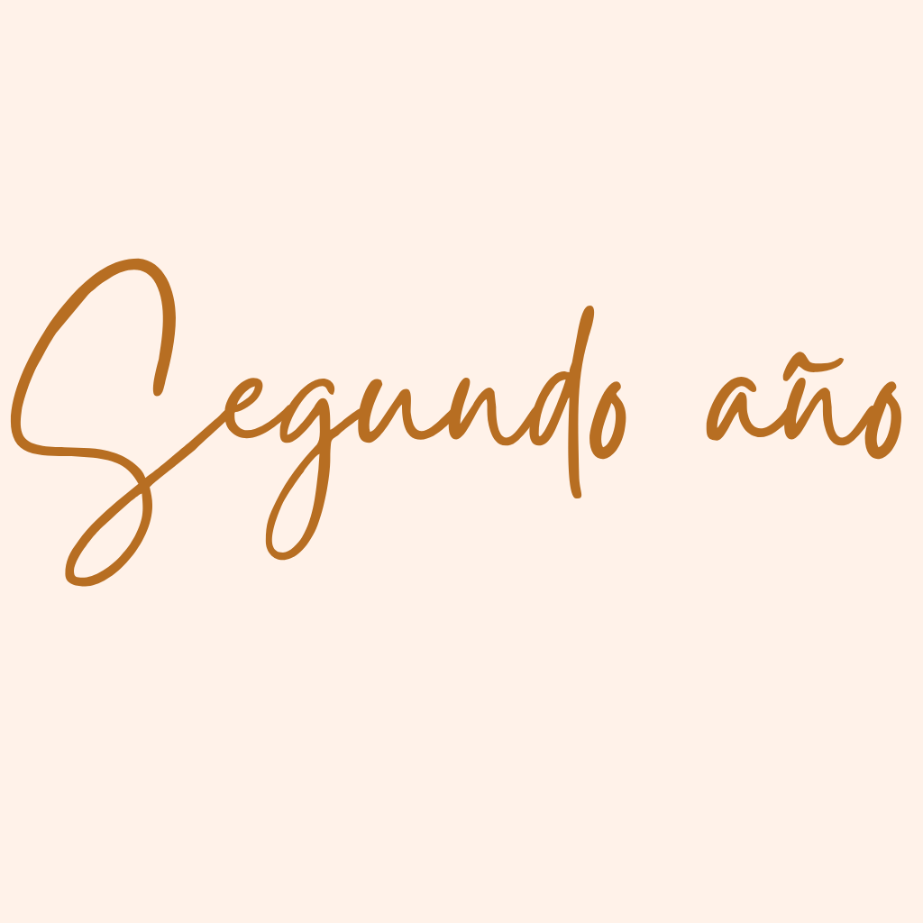 Segundo año