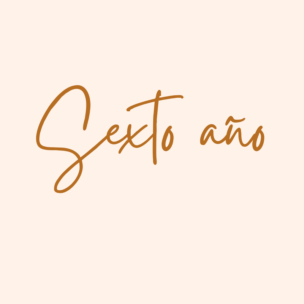 Sexto año