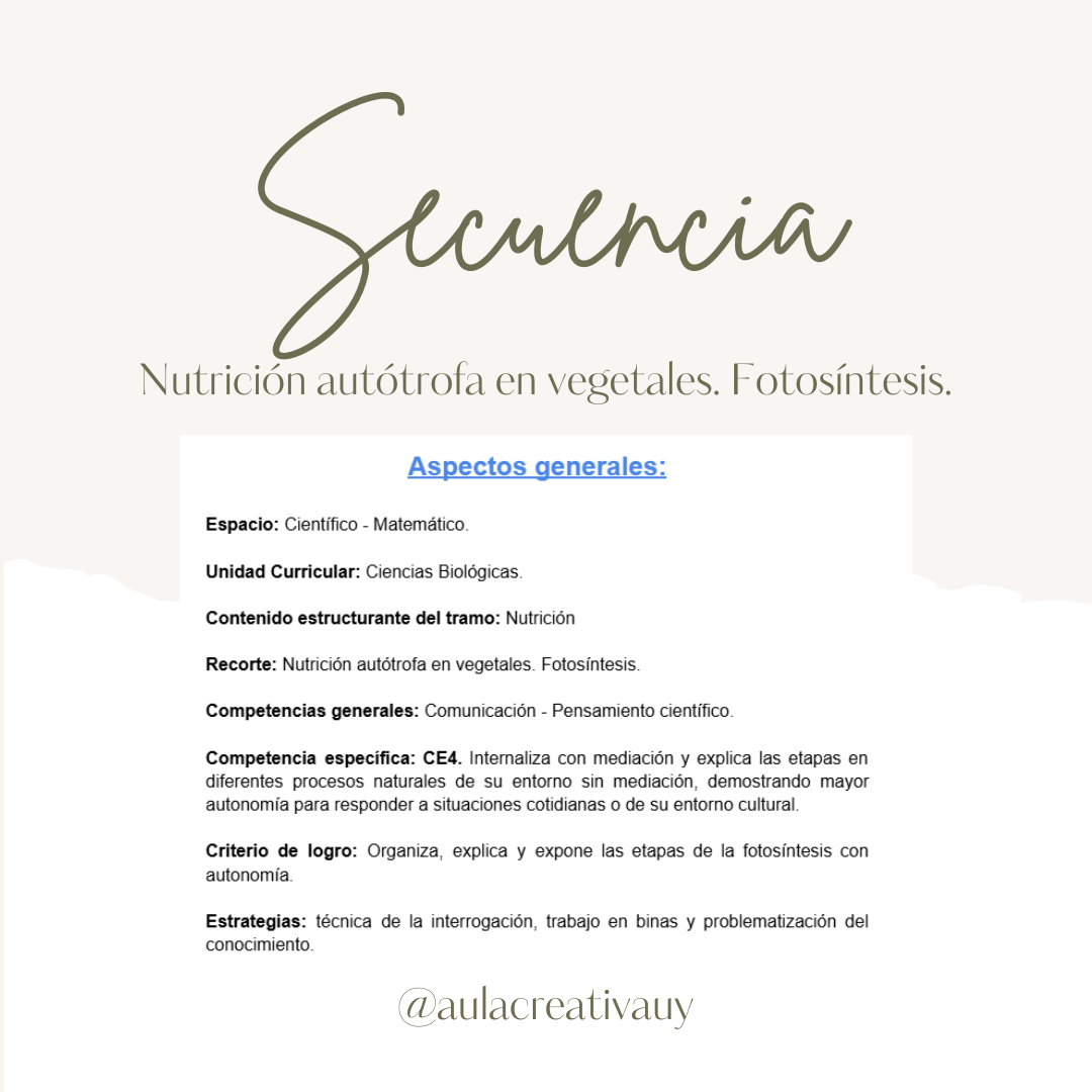 Secuencia - Nutrición autótrofa en vegetales. Fotosíntesis - Sexto año