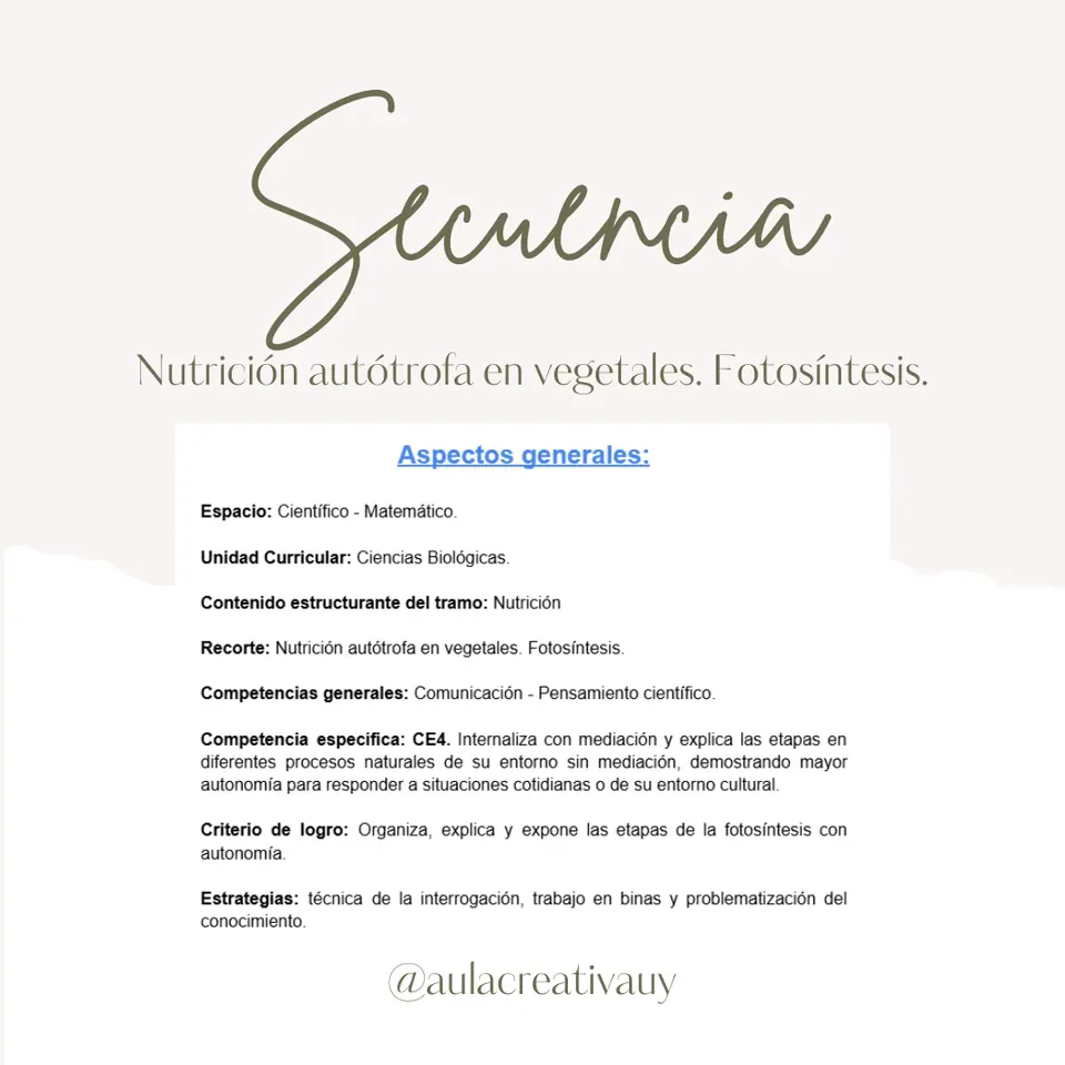 Secuencia - Nutrición autótrofa en vegetales. Fotosíntesis - Sexto año