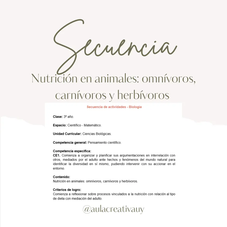 Nutrición en animales - Omnívoros, carnívoros y herbívoros - Tercer año