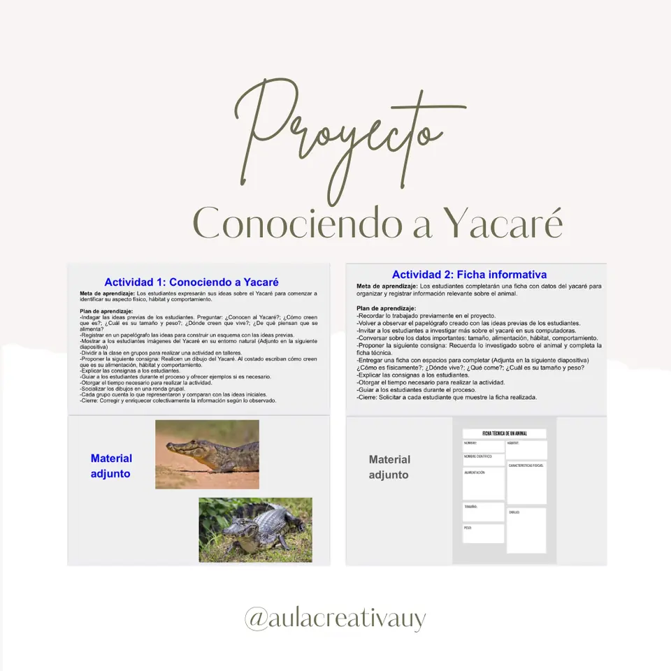 Proyecto "Conociendo a Yacaré"