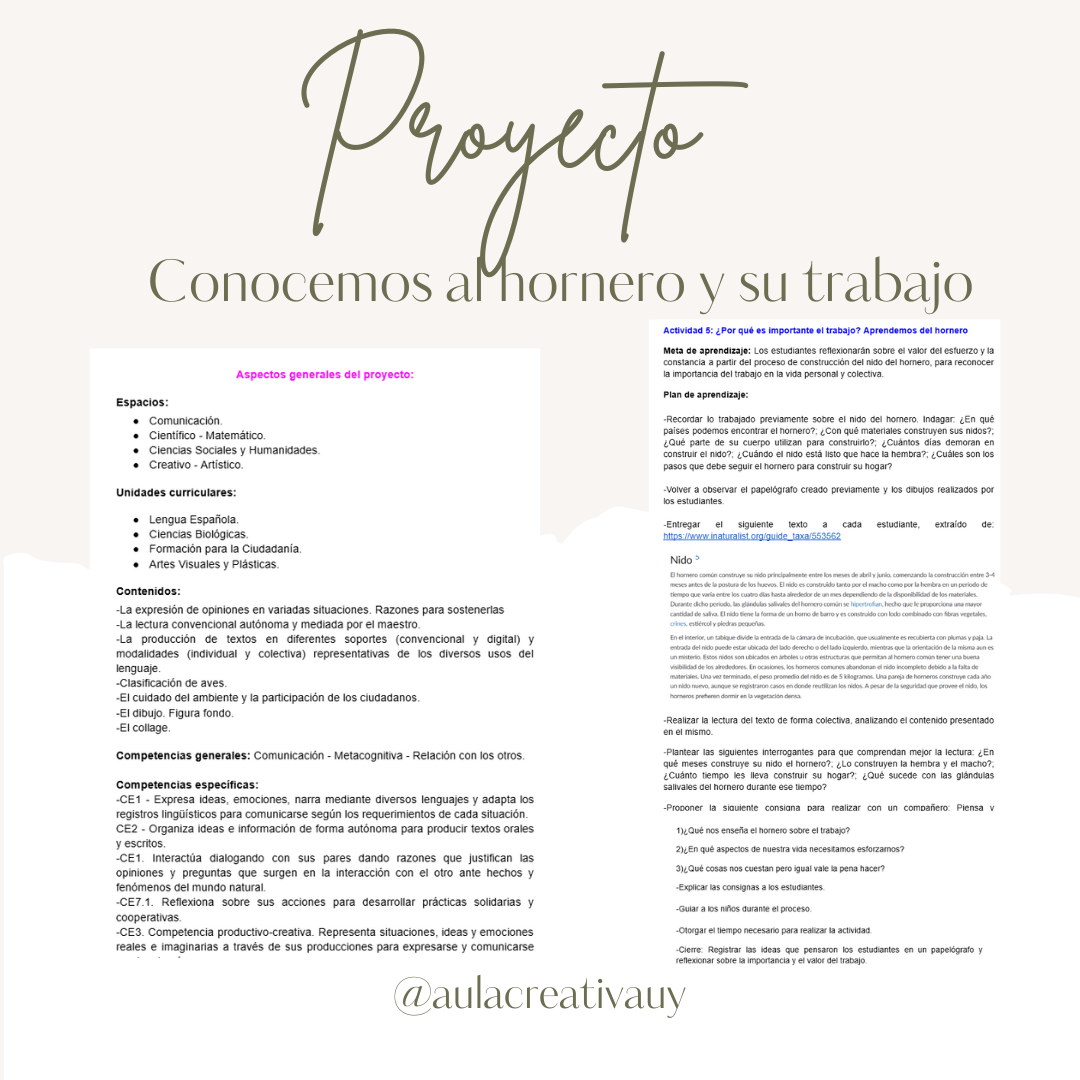 Proyecto - Conocemos al hornero y su trabajo - Segundo a Sexto