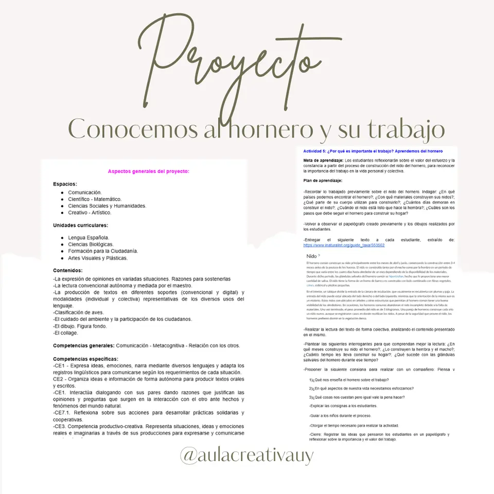Proyecto - Conocemos al hornero y su trabajo - Segundo a Sexto