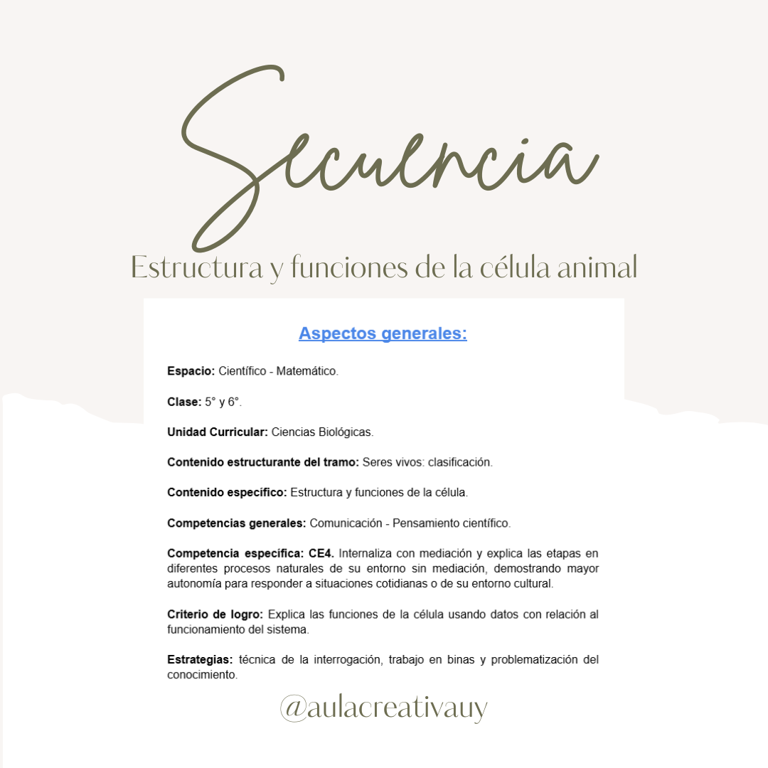 Secuencia - Estructura y funciones de la célula animal - Sexto año