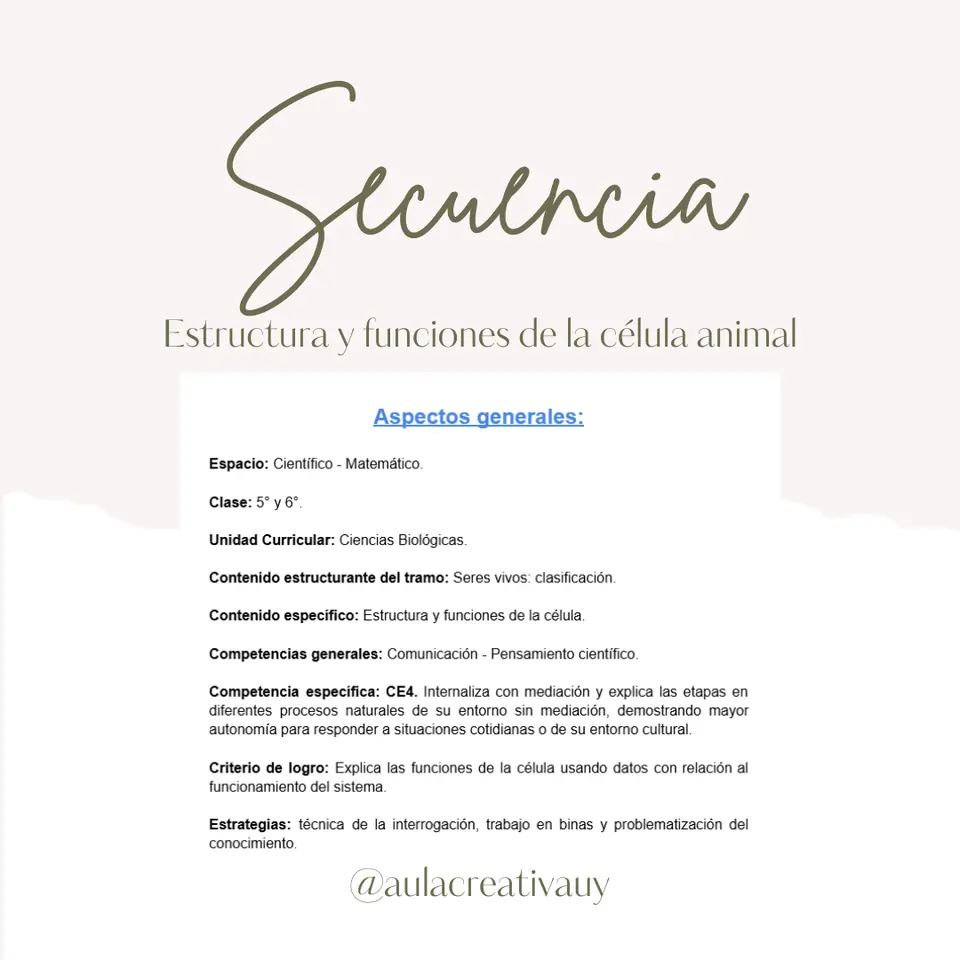 Secuencia - Estructura y funciones de la célula animal - Sexto año