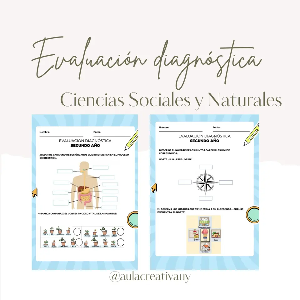 Evaluación diagnóstica Ciencias Naturales y Sociales -2°