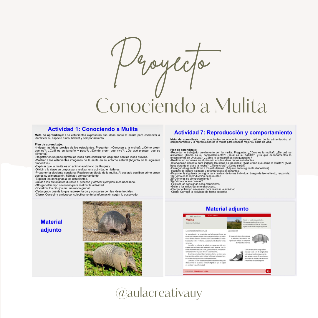 Proyecto "Conociendo a Mulita"