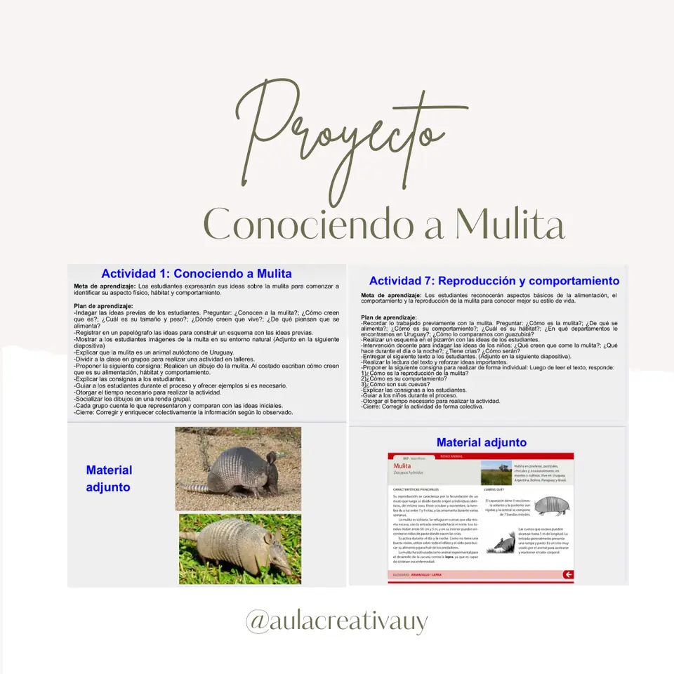 Proyecto "Conociendo a Mulita"