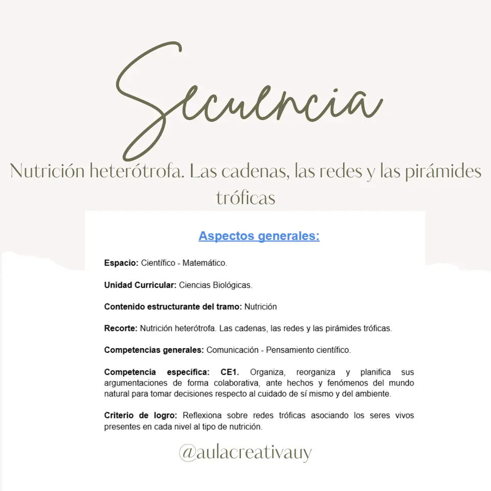 Secuencia - Nutrición heterótrofa. Las cadenas, las redes y las pirámides tróficas - Sexto año