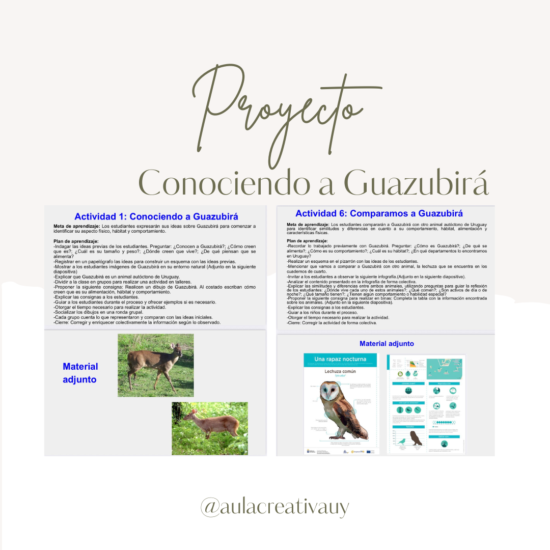 Proyecto "Conociendo a Guazubirá"