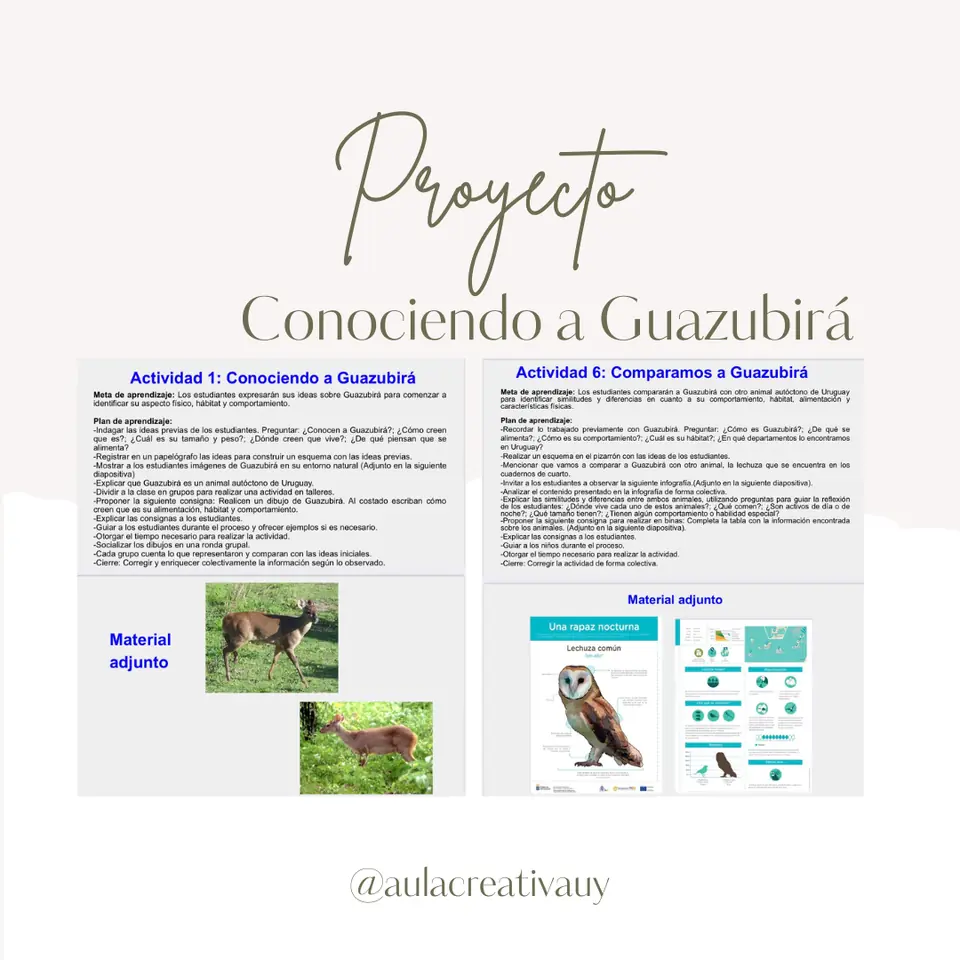 Proyecto "Conociendo a Guazubirá"