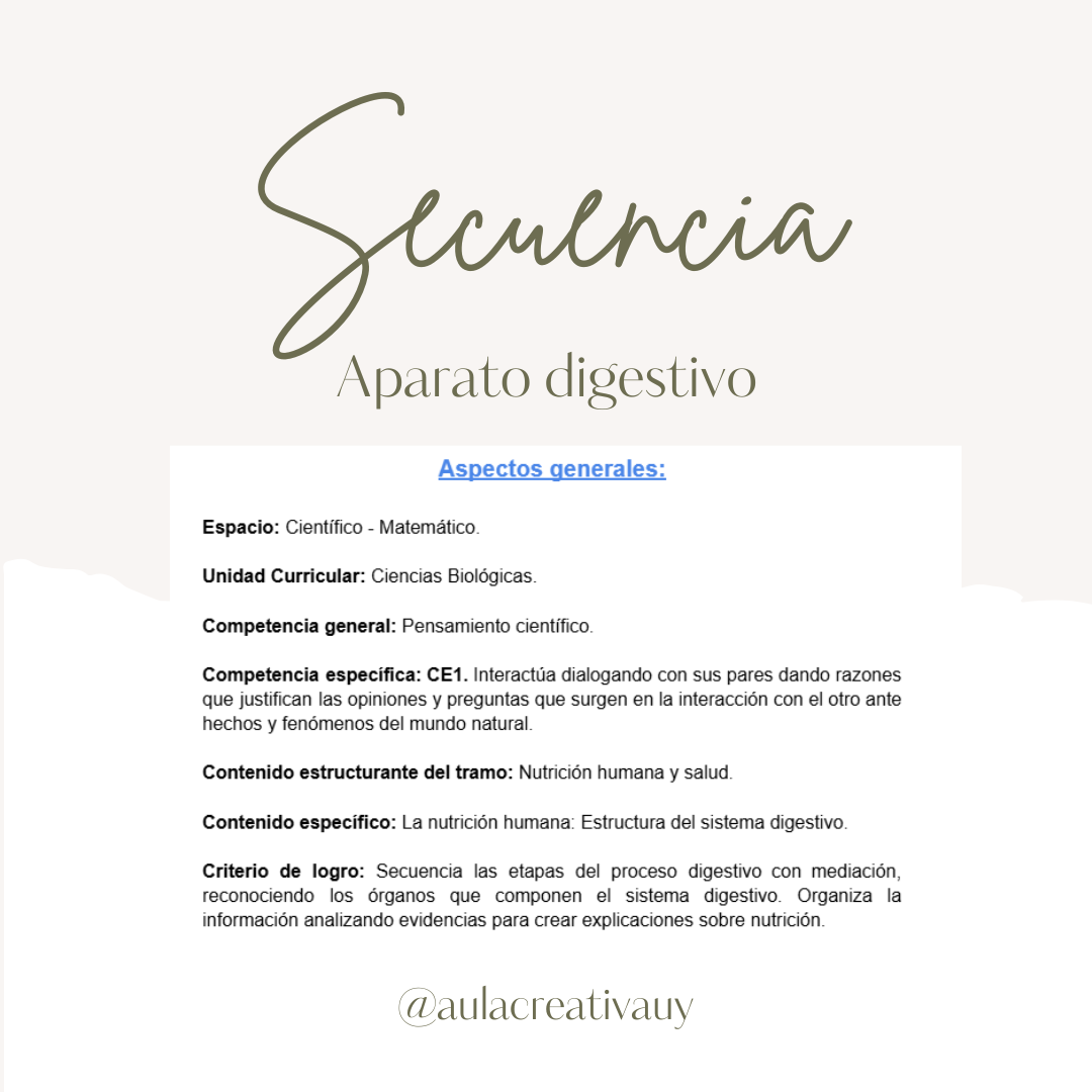 Secuencia - Aparato digestivo - Primer año