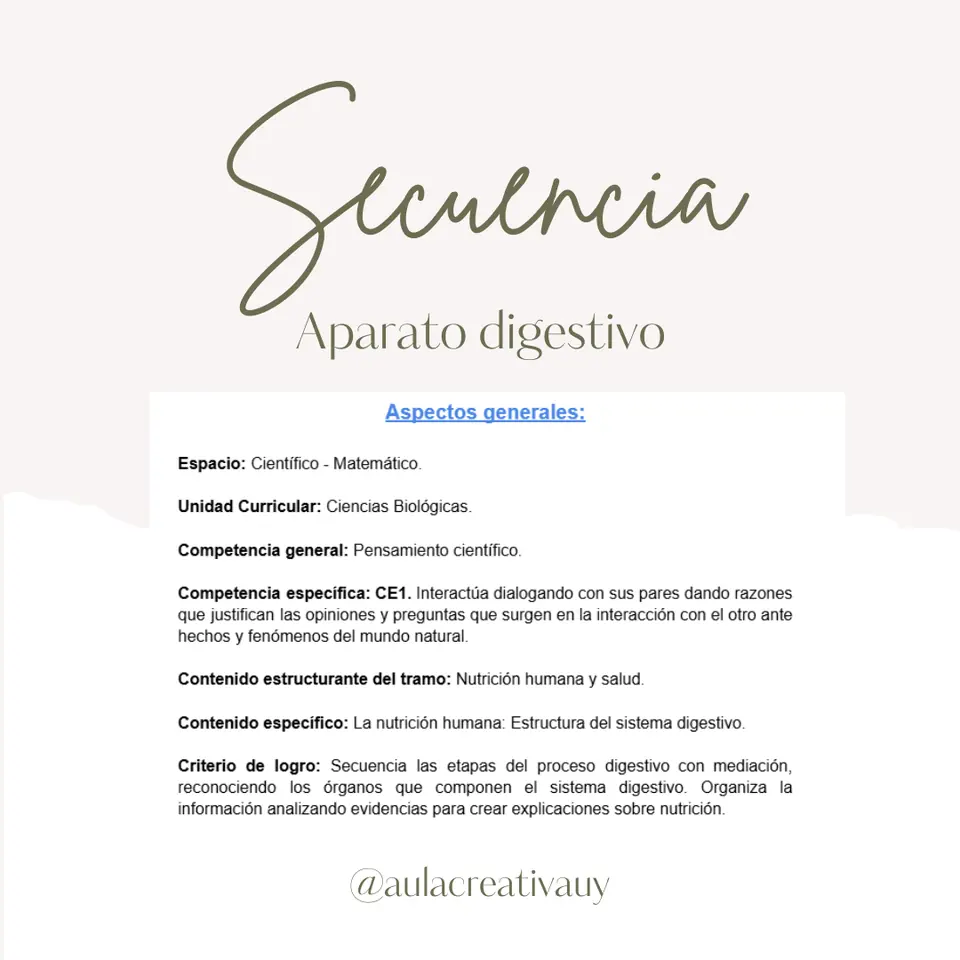 Secuencia - Aparato digestivo - Primer año