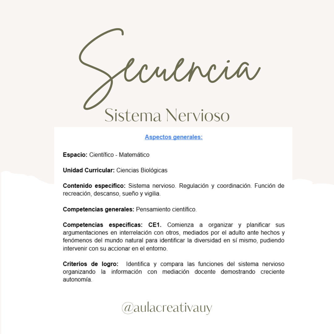 Secuencia - Sistema Nervioso - Cuarto año