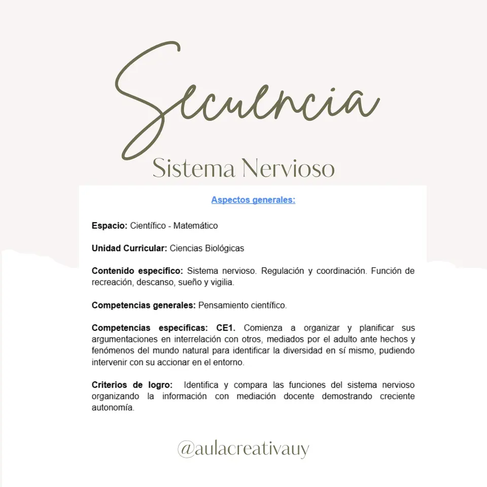Secuencia - Sistema Nervioso - Cuarto año