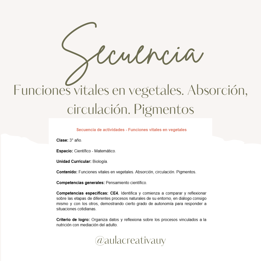Secuencia - Funciones vitales en vegetales. Absorción, circulación y pigmentos - Tercer año