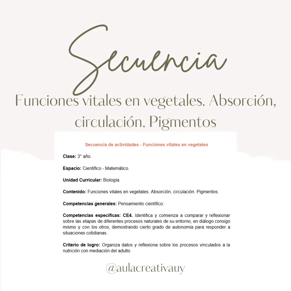 Secuencia - Funciones vitales en vegetales. Absorción, circulación y pigmentos - Tercer año