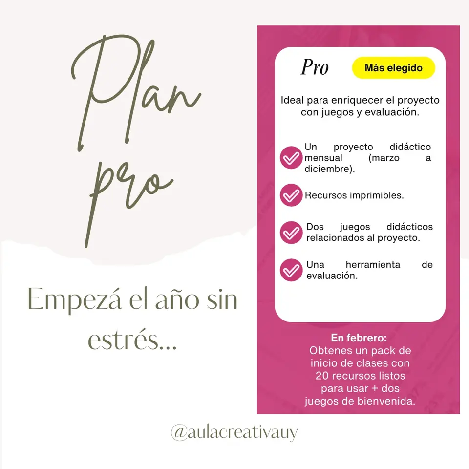 Plan Pro - Suscripción mensual