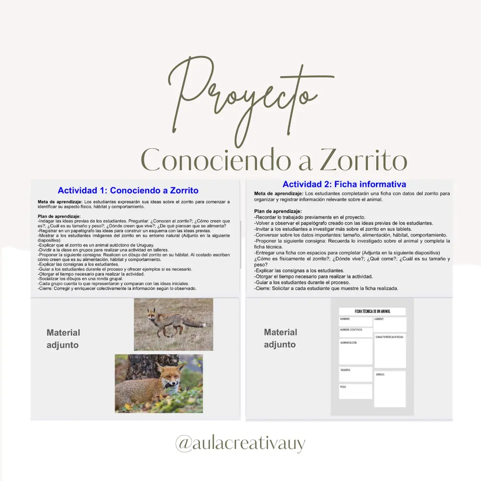 Proyecto "Conociendo a Zorrito"