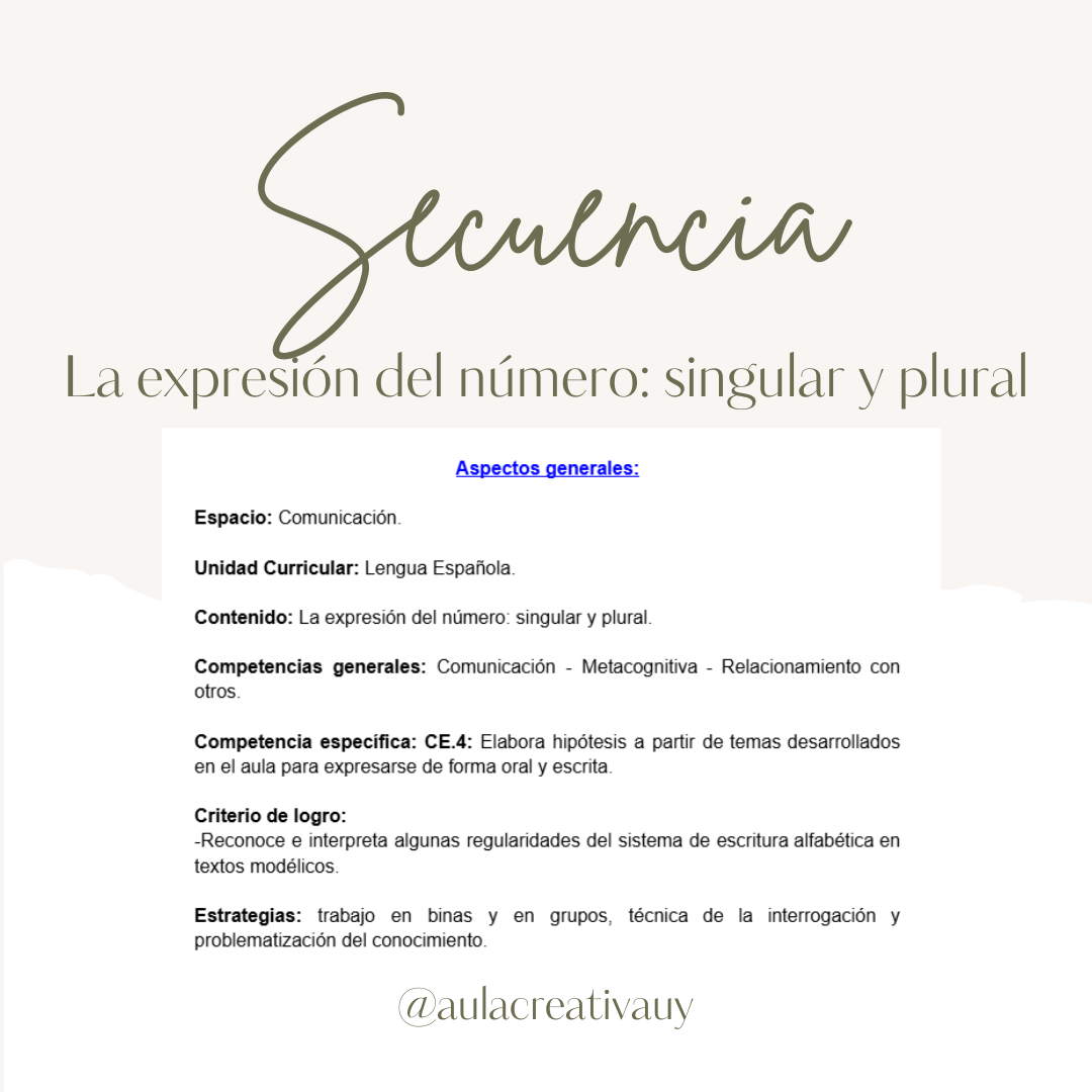 Secuencia - La expresión del número: singular y plural - Primer año