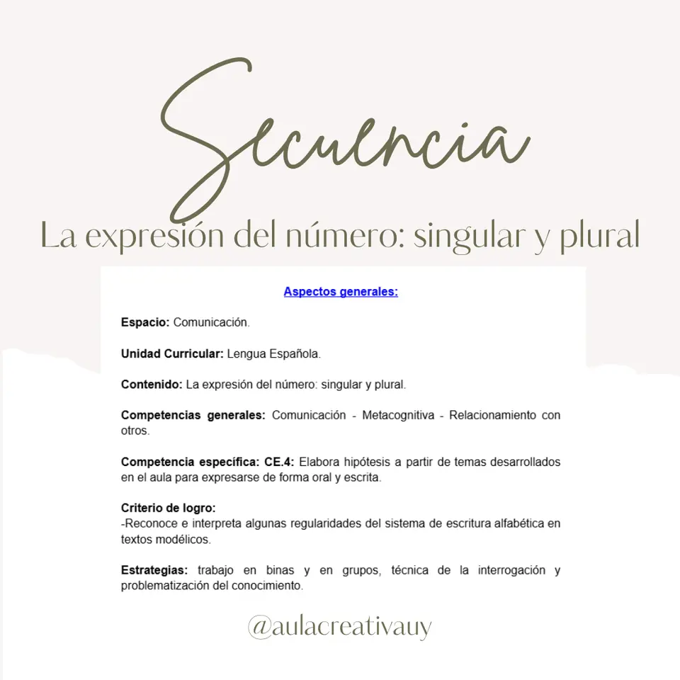 Secuencia - La expresión del número: singular y plural - Primer año