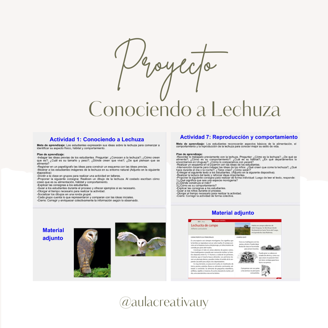 Proyecto "Conociendo a Lechuza"