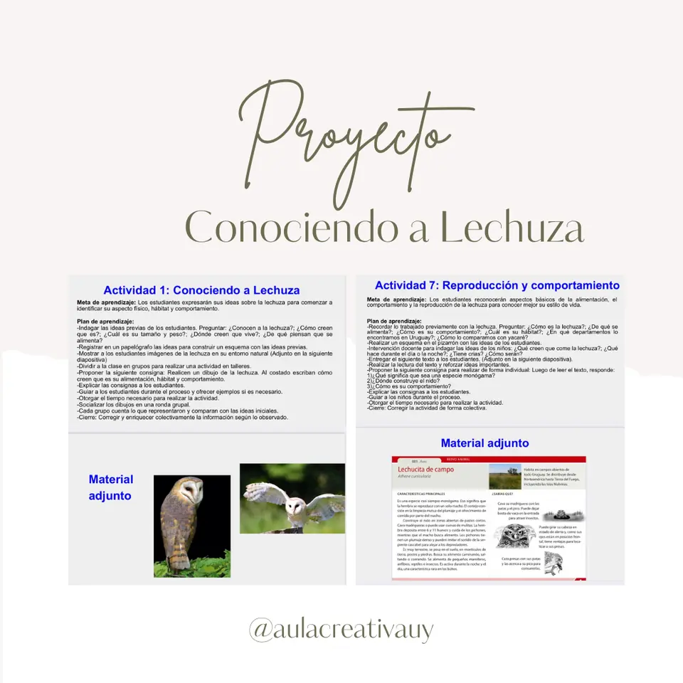 Proyecto "Conociendo a Lechuza"