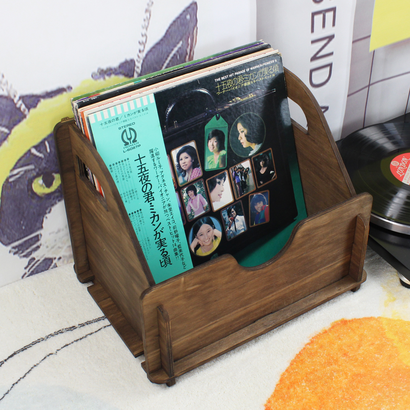 Cajon para almacenamiento de discos 12" GK-R35B