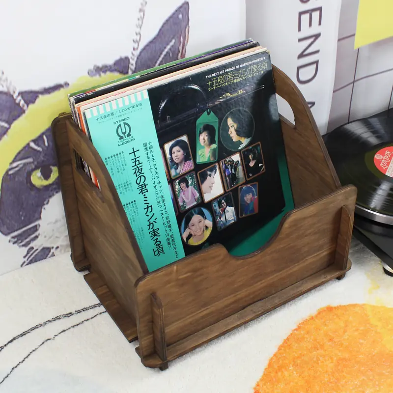 Cajon para almacenamiento de discos 12" GK-R35B