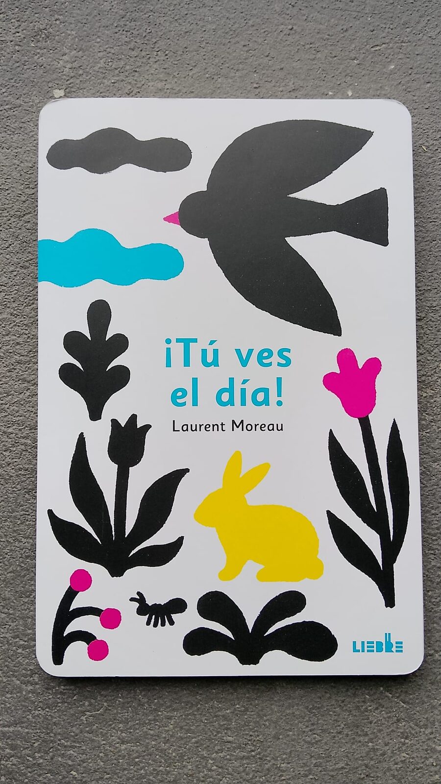 Tu ves el día