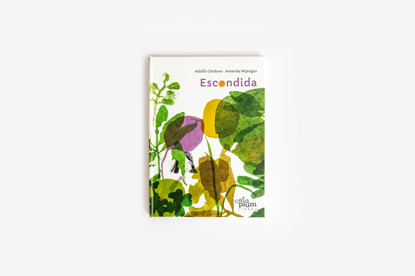 Escondida