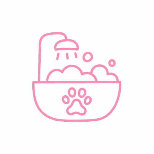 Higiene