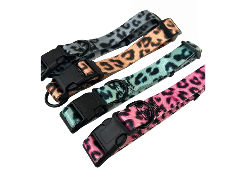 Collar Animal Print