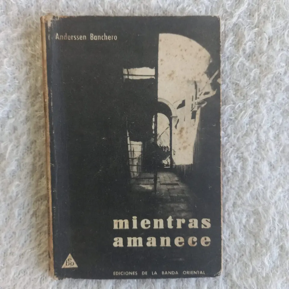 Mientras amanece. Anderssen Banchero