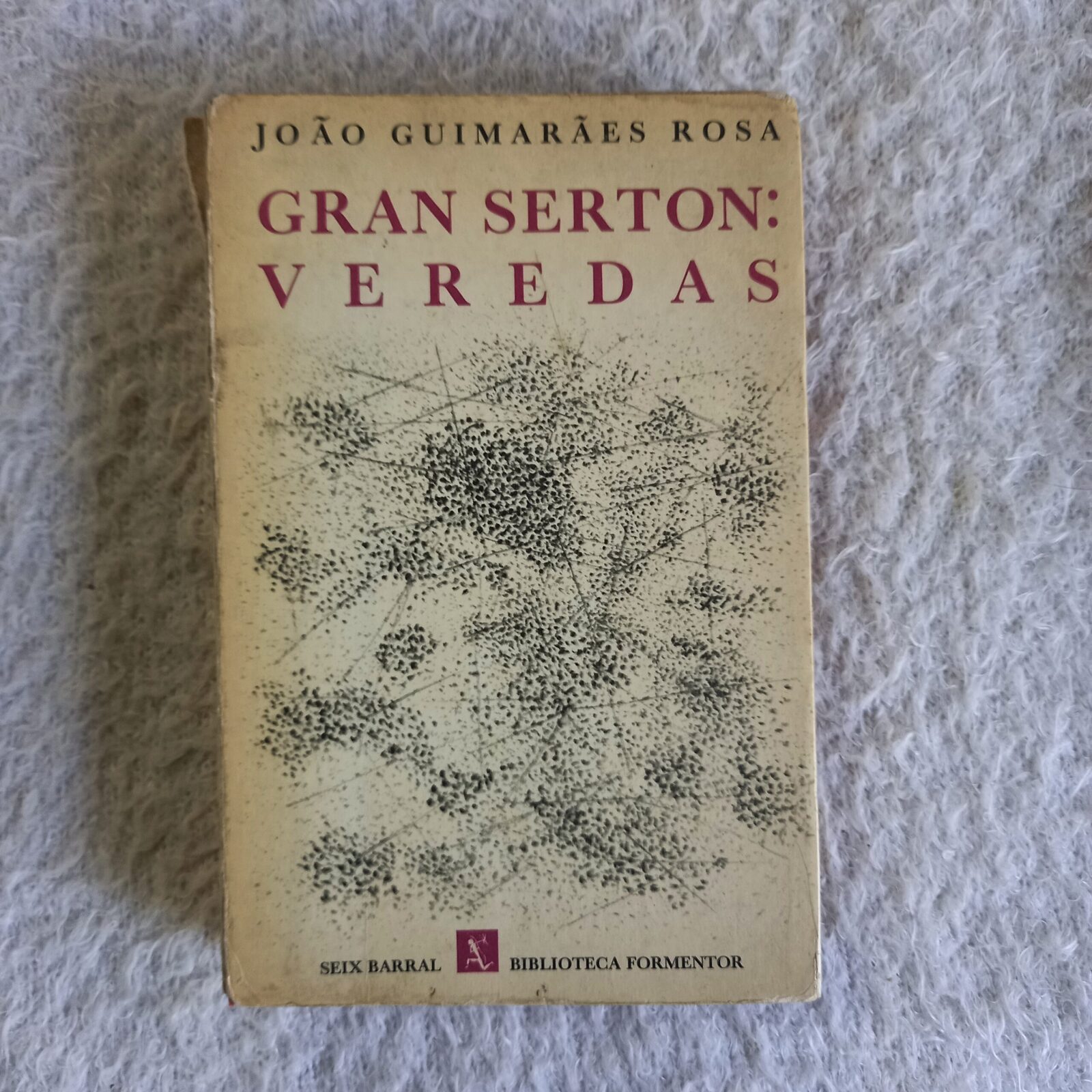 Gran Sertón: Veredas. João Guimarães Rosa