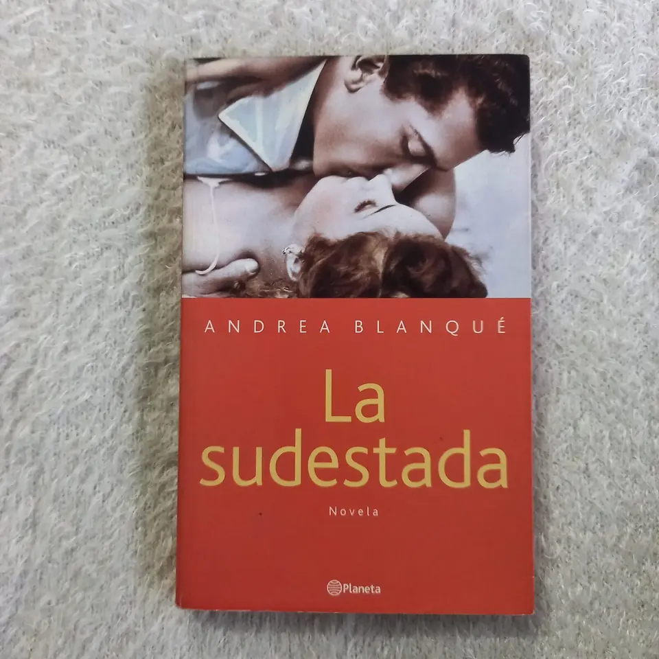 La sudestada. Andrea Blanqué