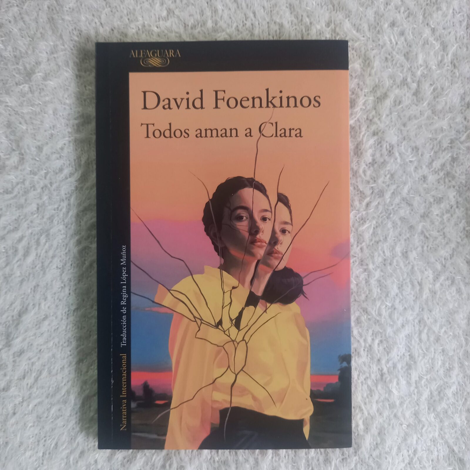 Todos aman a Clara. David Foenkinos