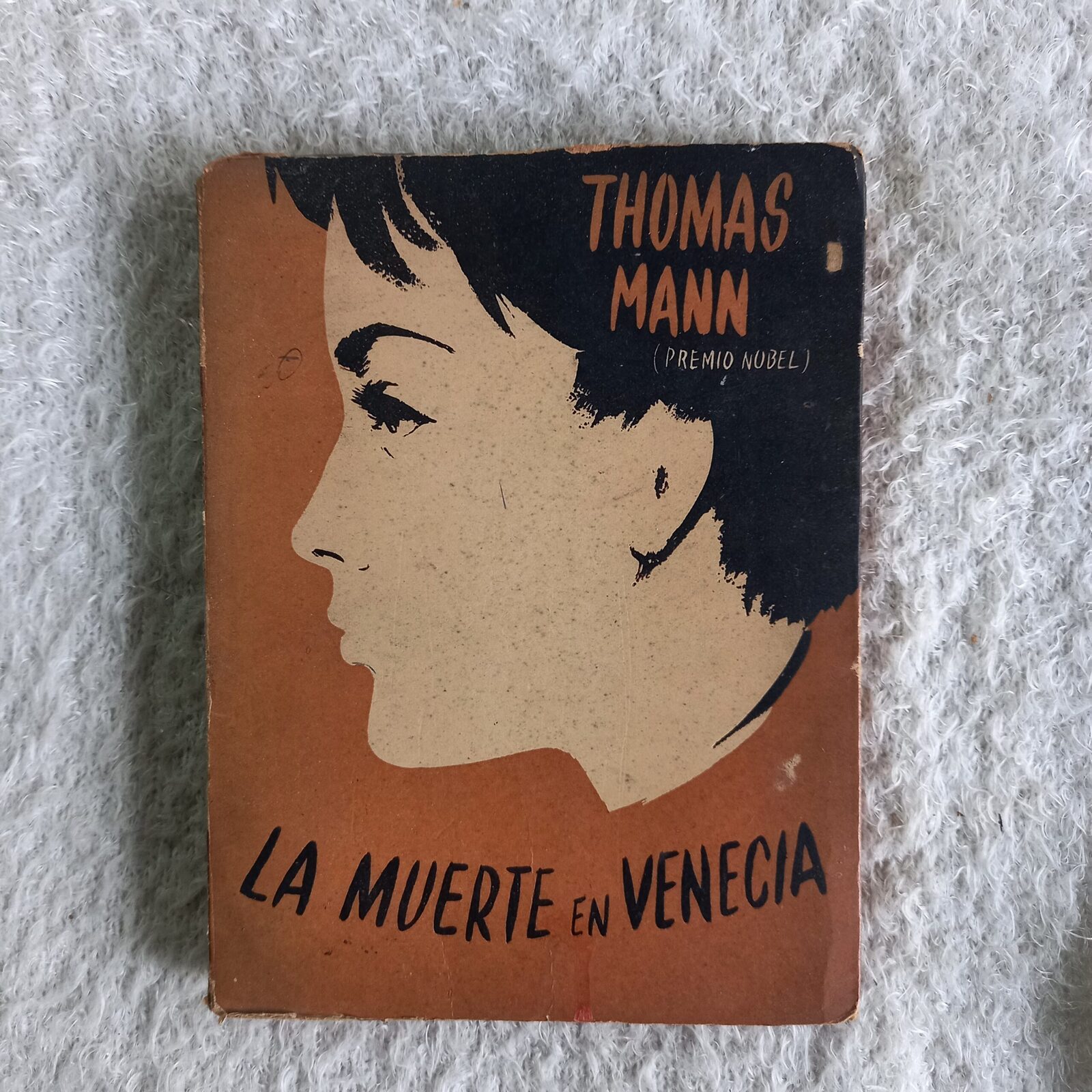 La muerte en Venecia. Thomas Mann